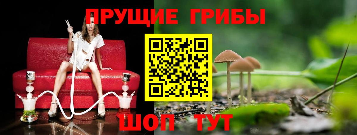 Псилоцибиновые грибы GOLDEN TEACHER Лиски